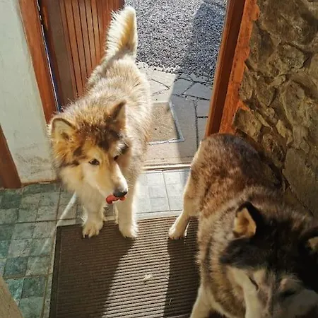 Apartamento Catstone 2