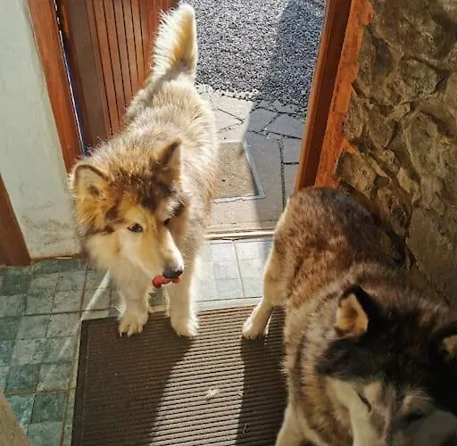 アパート Catstone 2